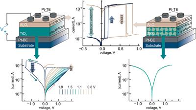 Organismic Memristive Structures With Variable Functionality for Neuroelectronics